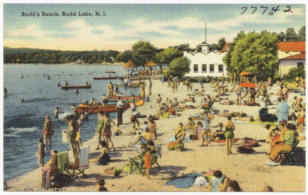 Septic Service in Budd Lake NJ