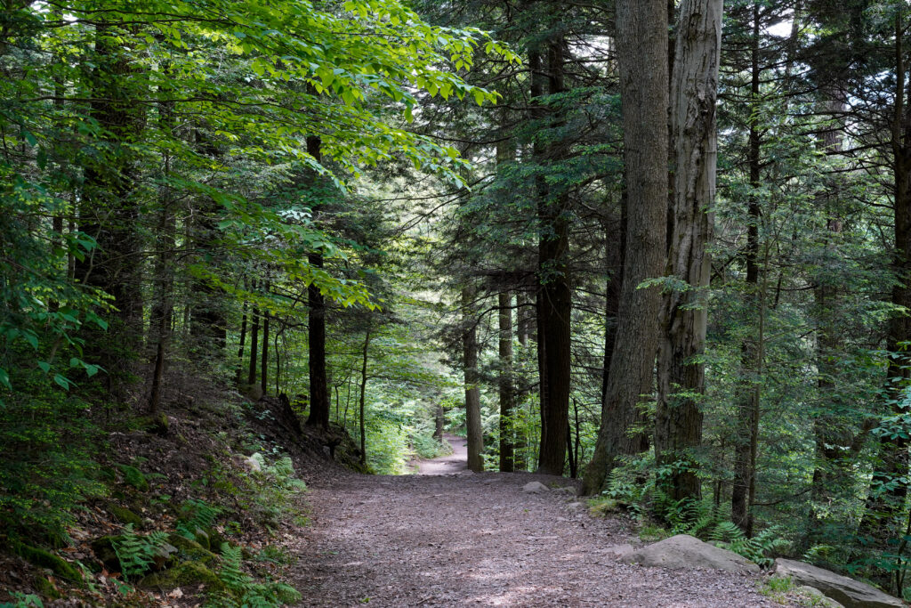 Byram Township Septic Service